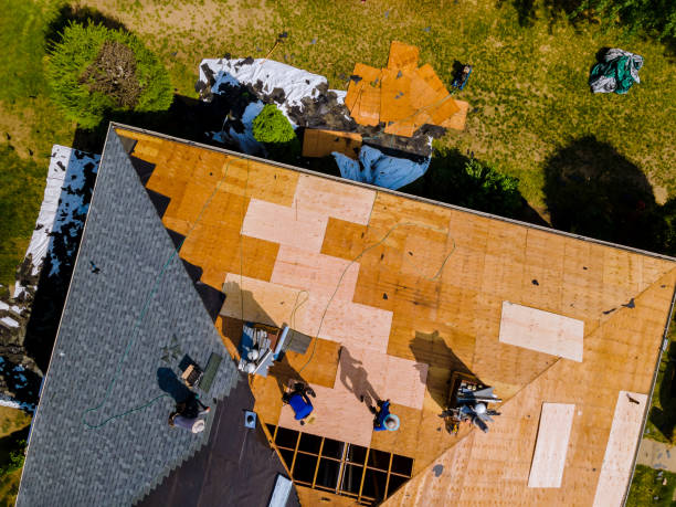 Best Metal Roofing Contractor  in Bridgeport, IL