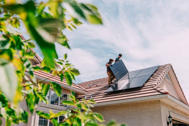 Best Roof Gutter Cleaning  in Bridgeport, IL